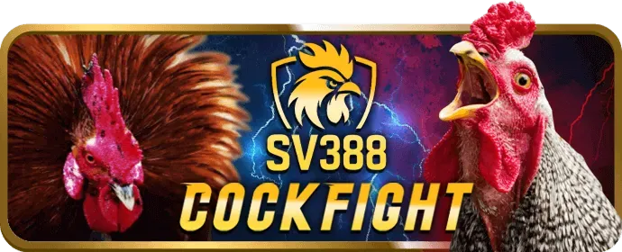 Hỗ trợ khách hàng 88ax 24/7